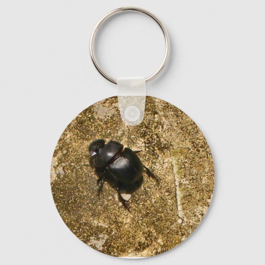 Käferwanderung Schlüsselkette Schlüsselanhänger (Vorderseite)