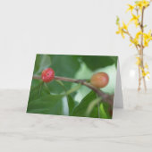Kaffee Cherries Nature Foto Karte (Gelbe Blume)