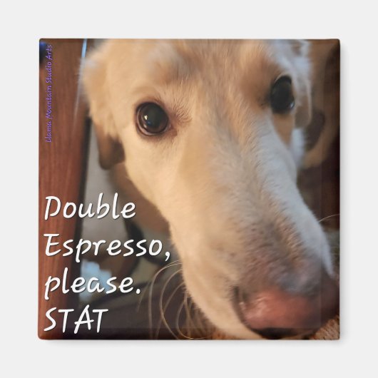 Kaffee Dog Magnet #1 - Buffy (Vorne)