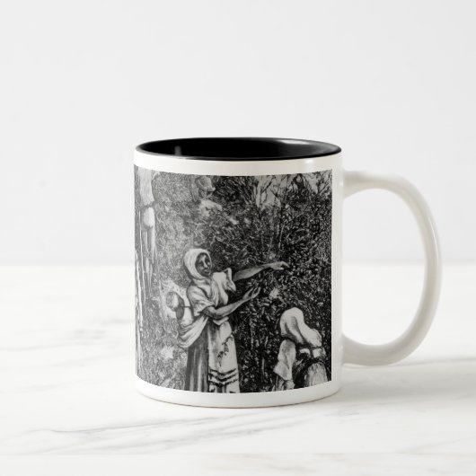 Kaffee-Ernte Zweifarbige Tasse (Rechts)