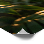 KAFFEE FREUDE POSTER (Ecke)