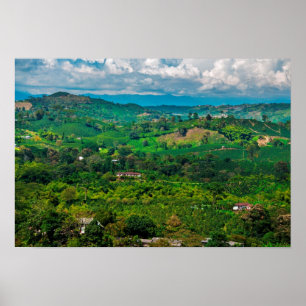 Kaffee-Landschaft Poster