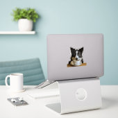 Kaffee mit dem Collie Aufkleber (Laptop auf Schreibtisch)