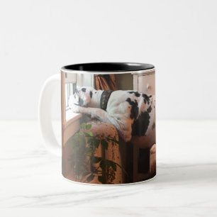 Kaffee mit Dottie! Zweifarbige Tasse