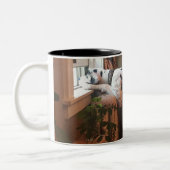 Kaffee mit Dottie! Zweifarbige Tasse (Links)