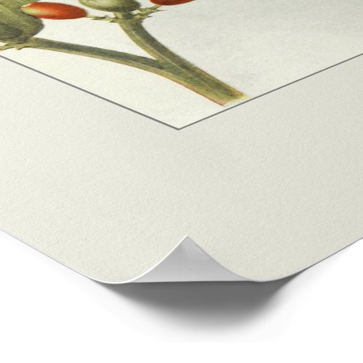 Kaffee Poster (Ecke)