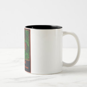KAFFEE regen Ihre Neuronen an! Zweifarbige Tasse