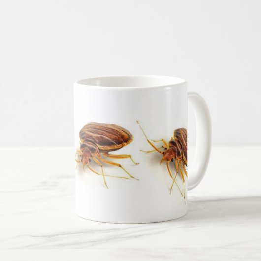 Kaffee-Tasse - Cimex lectularius (Bettwanze) Kaffeetasse (VorderseiteRechts)