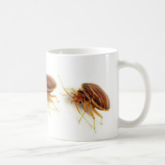 Kaffee-Tasse - Cimex lectularius (Bettwanze) Kaffeetasse