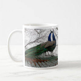 KAFFEE-TASSE MIT PEACOCK-BILD KAFFEETASSE