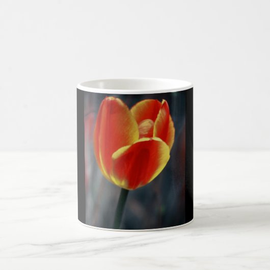 Kaffee-Tasse mit roter Tulpe Kaffeetasse (Mittel)