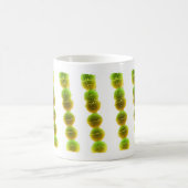 Kaffee-Tasse - Streptokokke (Grün auf Weiß) Kaffeetasse (Mittel)
