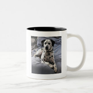 Kaffee-Tasse Zweifarbige Tasse