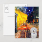 Kaffee - Tulear-Baumwolle 4b Postkarte (Vorne/Hinten)