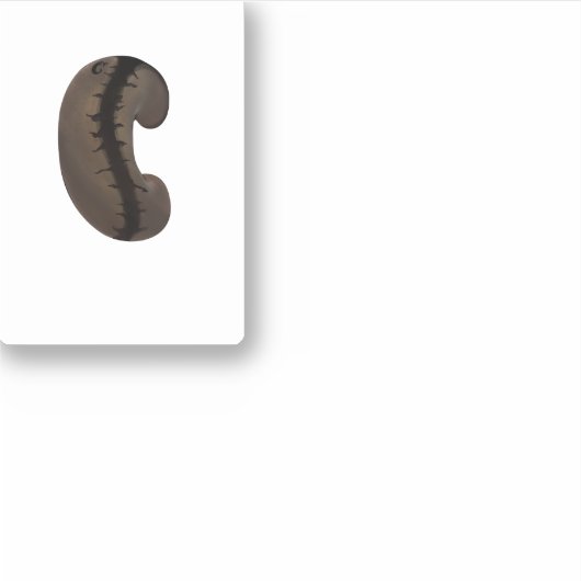 Kaffeebeeraufkleber Aufkleber (Vorderseite)