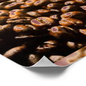 KAFFEEBOHNE-KUNST-PLAKAT POSTER (Ecke)