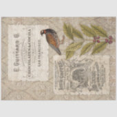 Kaffeebohnen Ephemera Bird Masculine Tan Decoupage Seidenpapier (Vorderseite)