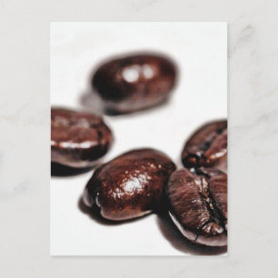 Kaffeebohnen-Foto in meinem neuen Studio Postkarte