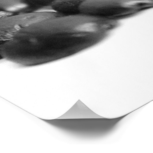 Kaffeebohnen & Kaffeebäume 16x20 Poster (Ecke)