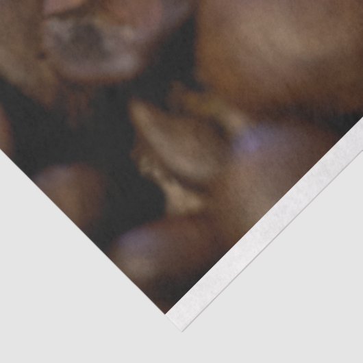 Kaffeebohnen Küche 20x30 Decoupage Hintergrund Seidenpapier (Ausschnitt)