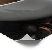 Kaffeebohnen Poster (Ecke)