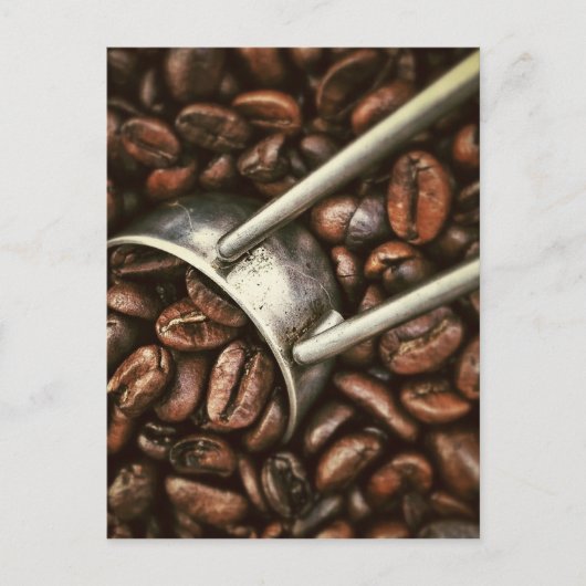 Kaffeebohnen Postkarte (Vorderseite)