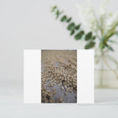 Kaffeebohnen Postkarte (Stehend Vorderseite)