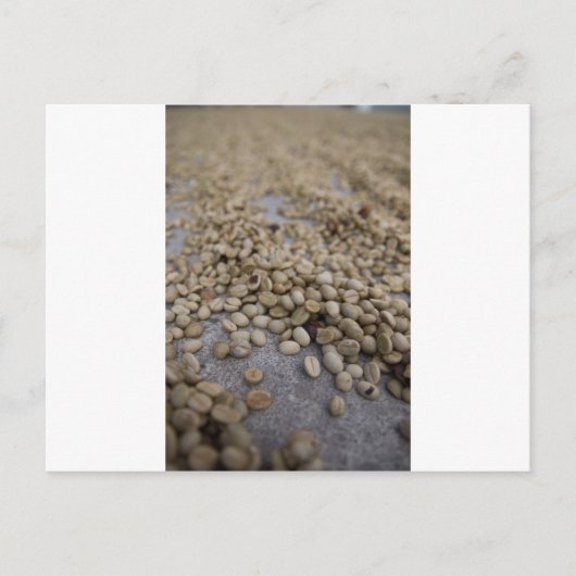 Kaffeebohnen Postkarte (Vorderseite)
