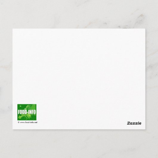 Kaffeebohnen Postkarte (Rückseite)