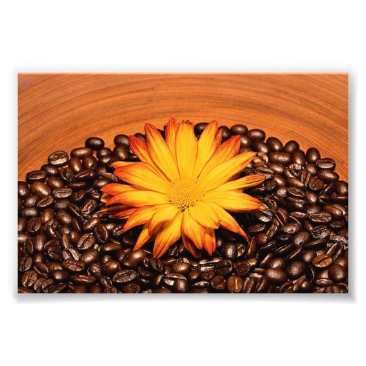 Kaffeebohnen und Yellow Daisy Fotodruck (Vorne)