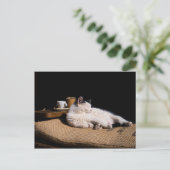 Kaffeekanne Postkarte (Stehend Vorderseite)