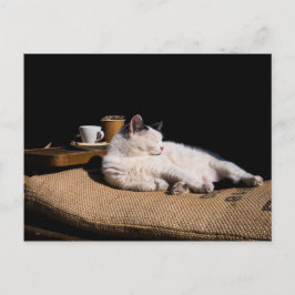 Kaffeekanne Postkarte