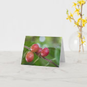 Kaffeekirschen Karte (Gelbe Blume)