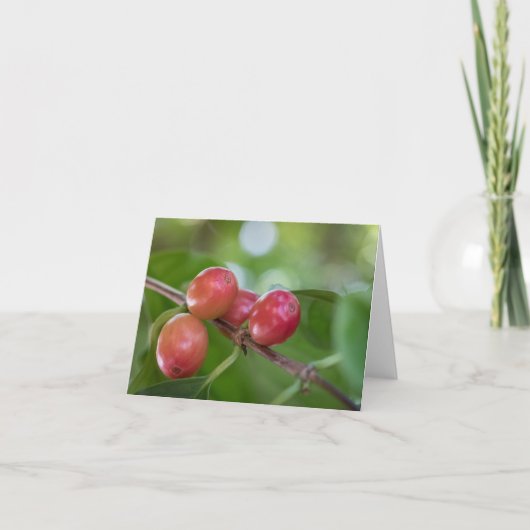 Kaffeekirschen Karte (Vorderseite)