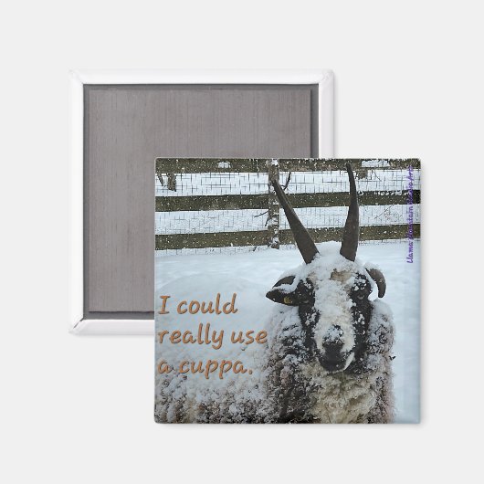 Kaffeepapiermagnet #1 - Wertvoll Magnet (Vorderseite/Rückseite)