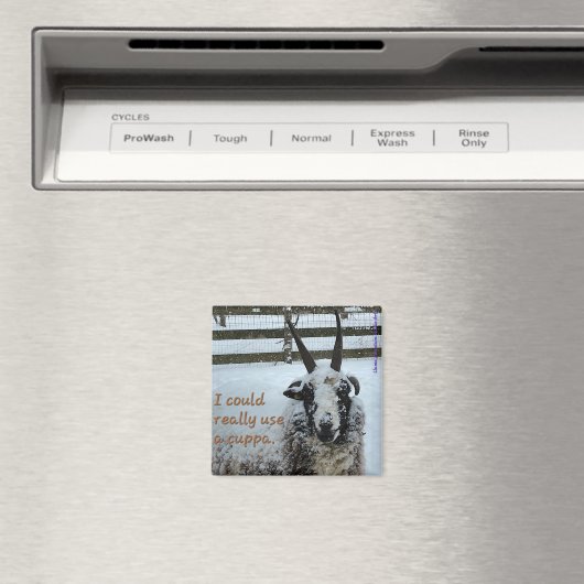 Kaffeepapiermagnet #1 - Wertvoll Magnet (In Situ (Geschirrspüler))