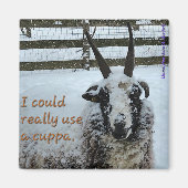 Kaffeepapiermagnet #1 - Wertvoll Magnet (Vorne)