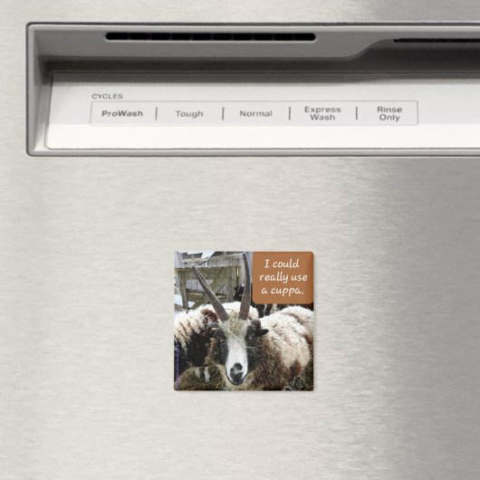 Kaffeepapiermagnet #2 - Wertvoll Magnet (In Situ (Geschirrspüler))