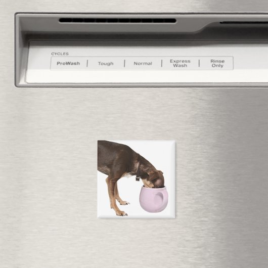 Kaffeepause Magnet (In Situ (Geschirrspüler))