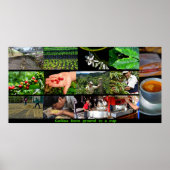 Kaffeeposter Poster (Vorne)