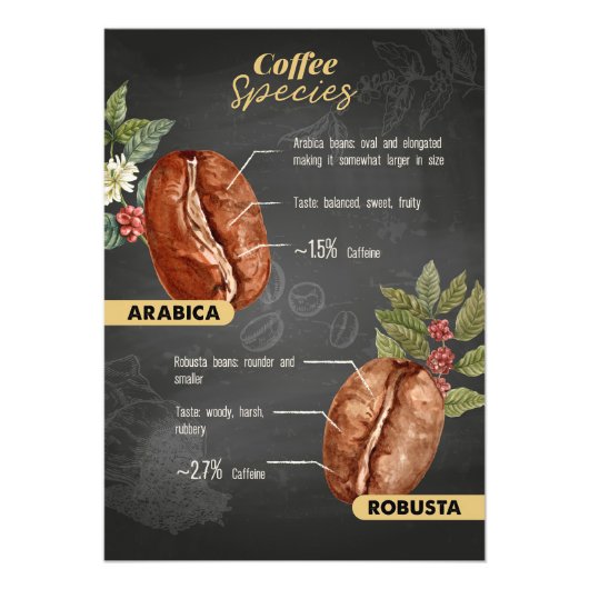 Kaffeesorten Fotodruck (Vorne)
