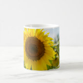 Kaffeetasse - Schönes Sonnenblumenfeld (Mittel)