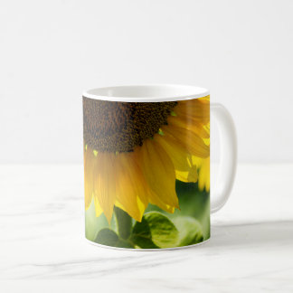 Kaffeetasse - Sonnenblume in Blüte Fotografie