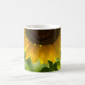 Kaffeetasse - Sonnenblume in Blüte Fotografie (Mittel)
