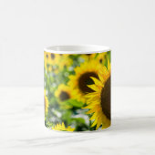 Kaffeetasse - Sonnenblumenfeld-Fotografie (Mittel)