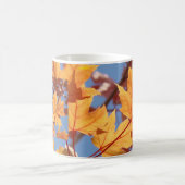 KAFFEETASSEN GESCHENK Herbstblätter Fall Bäume Bla (Mittel)