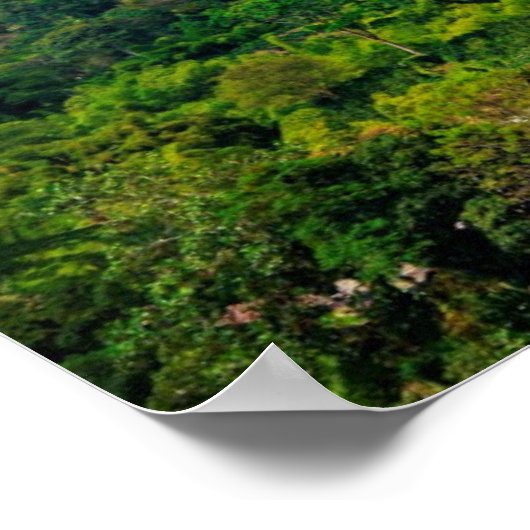 Kaffeewelt Poster (Ecke)