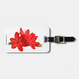 Kaffir Lily / River Lily / Hesperantha Coccinea Gepäckanhänger