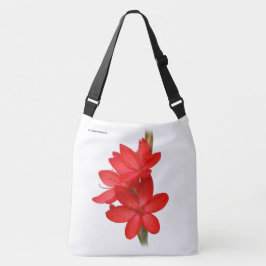 Kaffir Lily / River Lily / Hesperantha Coccinea Tasche