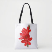 Kaffir Lily / River Lily / Hesperantha Coccinea Tasche (Vorderseite)